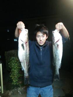 洲本　用事終わりに洲本川でシーバス狙い