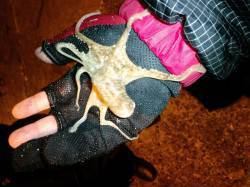 久美浜オクトパッシング　１投目から良型マダ…