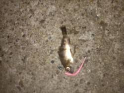 東二見にてアジング　本命アジはきませんでし…