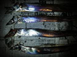 舞洲　17時～19時のタチウオテンヤ釣行、…