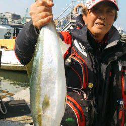 岸和田一文字　沖の北のノマセでメジロ、旧の赤灯台のウキ釣りでスズキ