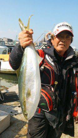 岸和田一文字　沖の北のノマセでメジロ、旧の赤灯台のウキ釣りでスズキ