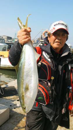 岸和田一文字　沖の北のノマセでメジロ、旧の…