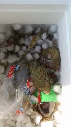 沖の北でカワハギ10枚&ガシラ