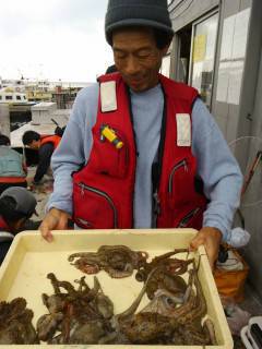 岸和田一文字　タコの釣果あり