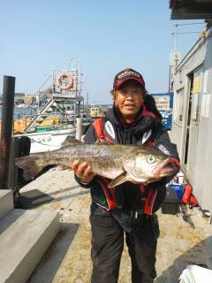 岸和田一文字　旧の赤灯台や沖の北でのアジの…