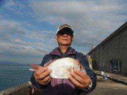 和歌山北港魚つり公園　チャリコ28cmの釣果