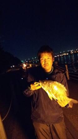 舞洲　ウキ釣りでタチウオ　サビキでアジ・サ…