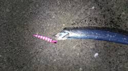 南芦屋浜　薄暗くなってワインドにチェンジす…