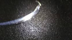 南芦屋浜　雨の降る中ワインドでＦ3.5タチ…