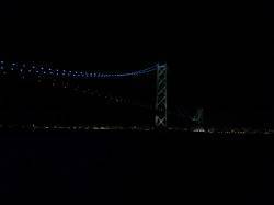 岩屋　エギングのアオリイカは500gが1パ…