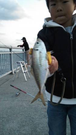 夕方から南芦屋浜にタチウオワインド釣行　暗…