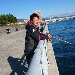 西宮でサヨリ釣り　9時半すぎから1時間半ぐらいの釣行で30匹