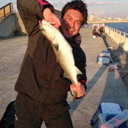 南芦屋浜に釣行　サヨリは断念しズボ釣りでボラ…サビキでアジなど