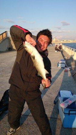 南芦屋浜に釣行　サヨリは断念しズボ釣りでボラ…サビキでアジなど