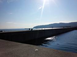 アジ狙いに炬口へ　サビキでグレがかかりまし…