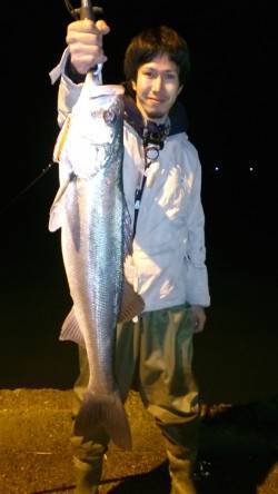 筋肉質で発達した尾びれのランカーシーバス！…