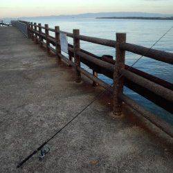 大津川河口高場　早朝の時合のワインドでタチウオ狙いに行ってきました