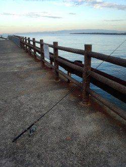 大津川河口高場　早朝の時合のワインドでタチウオ狙いに行ってきました