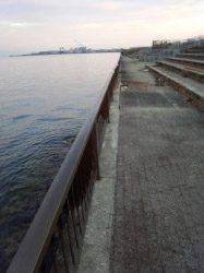 太刀魚を狙いに岸和田の波止へ、人生初のサワラGET！