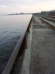 太刀魚を狙いに岸和田の波止へ、人生初のサワラGET！