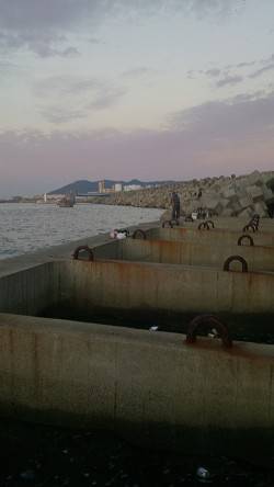 須磨　深夜12時から6時間のタチウオ釣行で…