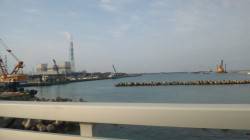 日高港湾にてタチウオ釣り　日に日に渋くなっ…