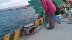 日高港湾タチウオ釣り　風弱く釣りやすかった…