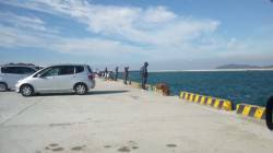 南塩屋　無風の状態でワインドでタチウオ狙い…