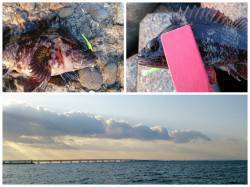 泉佐野メバリングでメバル・ソイ・アイナメな…