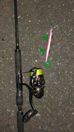 貝塚周辺にて良型シーバスヒット♪　何度かエラ洗いするもタモ入れ成功