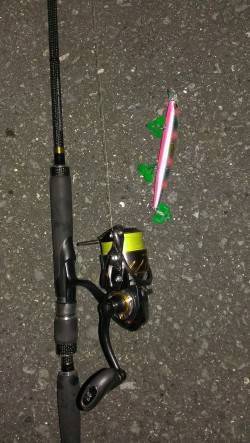 貝塚周辺にて良型シーバスヒット♪　何度かエ…