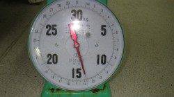 すさみ町の地磯でクエ88cm・13kg！！　