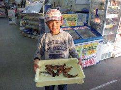 エビでガシラ　堺のトウデでのお子様釣果