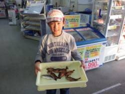 エビでガシラ　堺のトウデでのお子様釣果