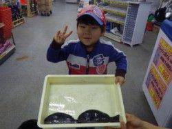 みなべ堺堤防でフカセ釣り　グレ2匹