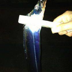 高砂埋立地周辺にて0時よりの釣行　落とし込みでタチウオの釣果