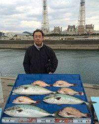マリーナシティ海洋釣り堀 ブリサイズの良型青物釣れました!