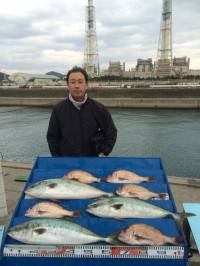 マリーナシティ海洋釣り堀 ブリサイズの良型青物釣れました!