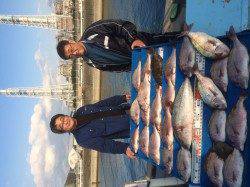 マリーナシティ海洋釣り堀　マダイに青物に好調です☆