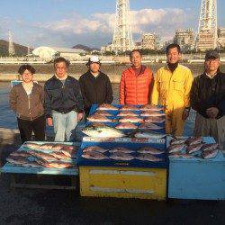 マリーナシティ海洋釣り堀　マダイに青物に好調です☆