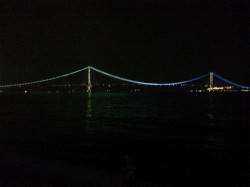 大蔵海岸にてエギング　潮に乗せてフォールさ…