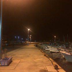 小島にてウキ釣り　メバルは釣れずスズキが釣れました