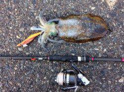 印南　天候の回復を待ってエギング開始