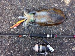 印南　天候の回復を待ってエギング開始