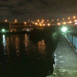 南港　アジングのアジ狙いは尺アジまであと3cm