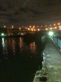 南港　アジングのアジ狙いは尺アジまであと3cm