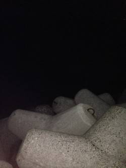 淡輪ヨットハーバー外向きテトラでタチウオ狙…