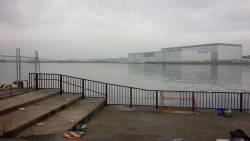 尼崎フェニックス　ショアジギング釣行はグロ…