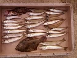 一番船〜最終便まで神鋼ケーソンへ　暗い内は…